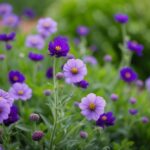 Um jardim de flores verdes e roxas